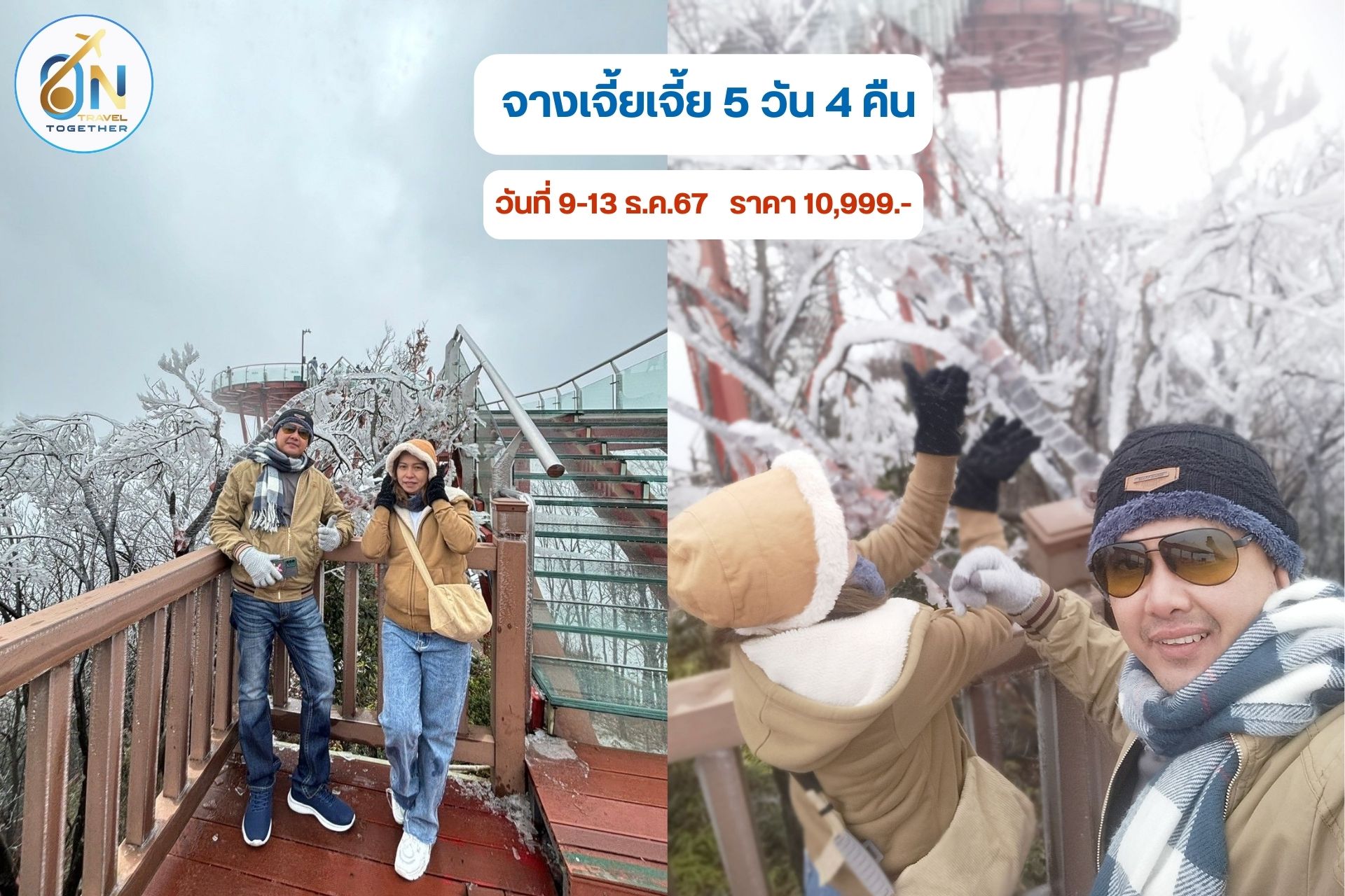 จางเจี้ยเจี้ย 5 วัน 4 คืน