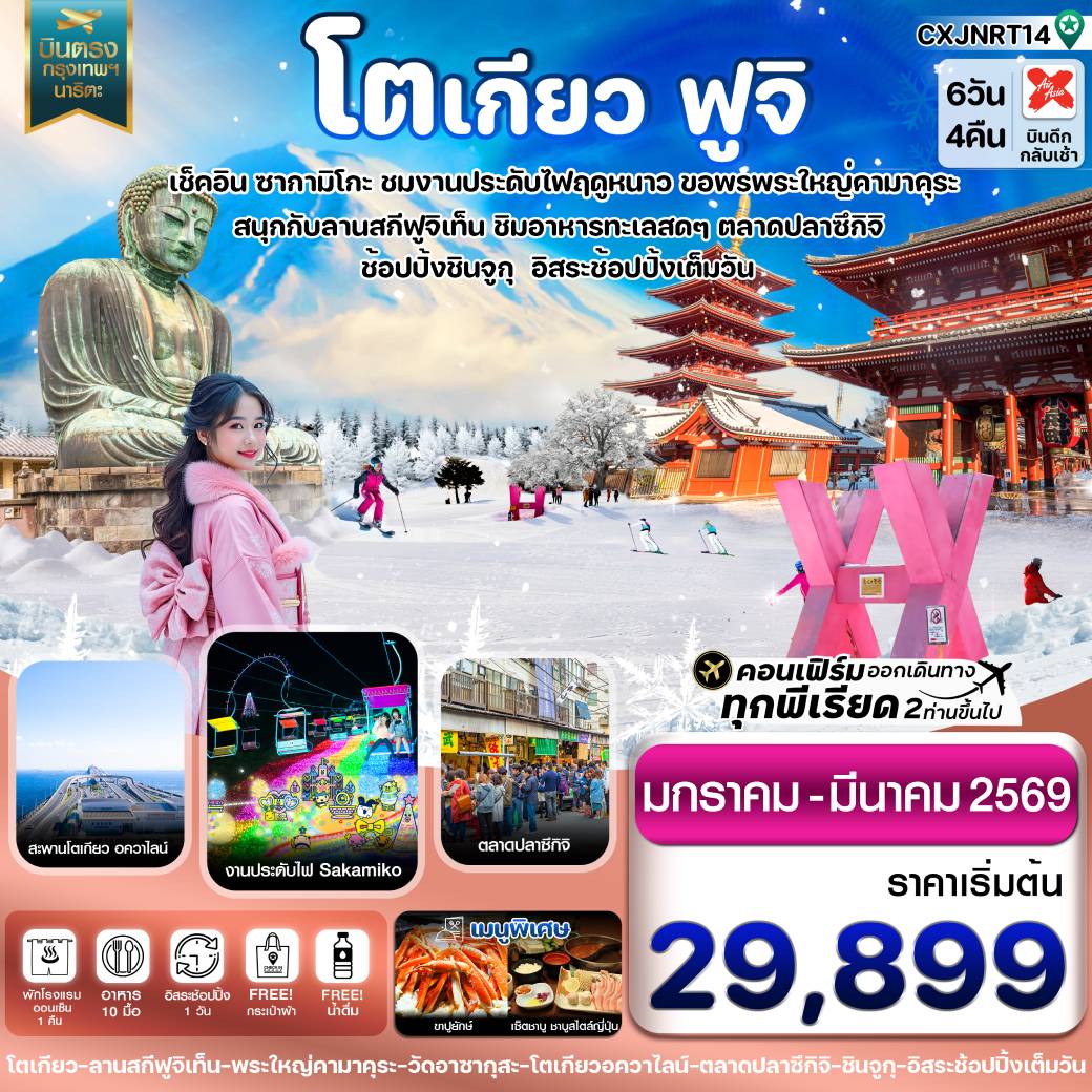 ทัวร์ญี่ปุ่น โตเกียว ฟูจิ งานประดับไฟ อิสระช้อปปิ้ง 1 วันเต็ม 6วัน 4คืน   (VZ )